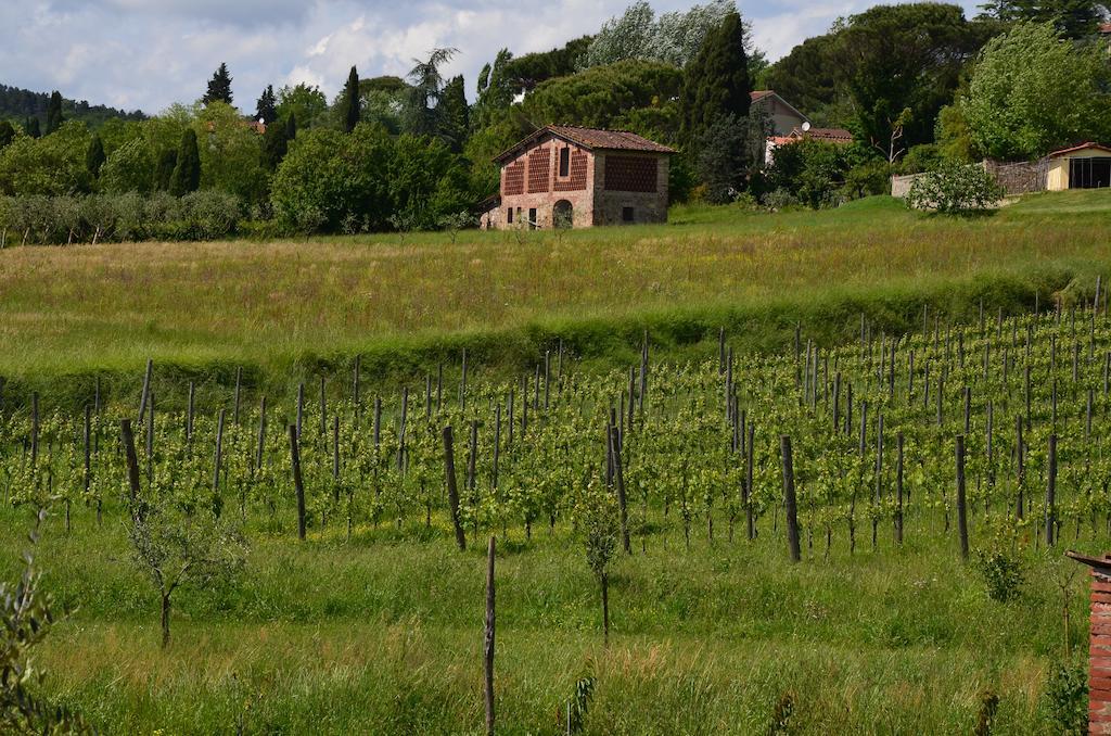 Agriturismo Al Podere Di Rosa Lucca Buitenkant foto