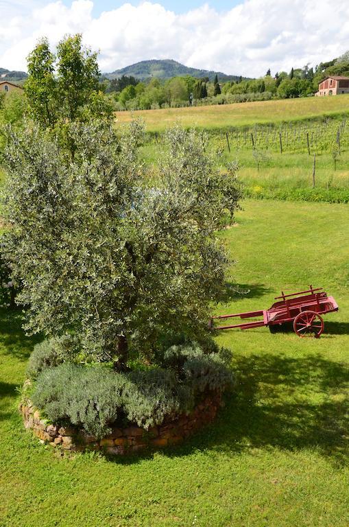 Agriturismo Al Podere Di Rosa Lucca Buitenkant foto