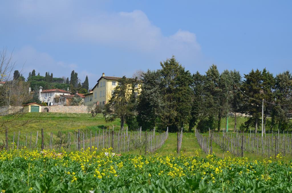 Agriturismo Al Podere Di Rosa Lucca Buitenkant foto
