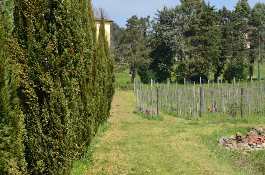 Agriturismo Al Podere Di Rosa Lucca Buitenkant foto